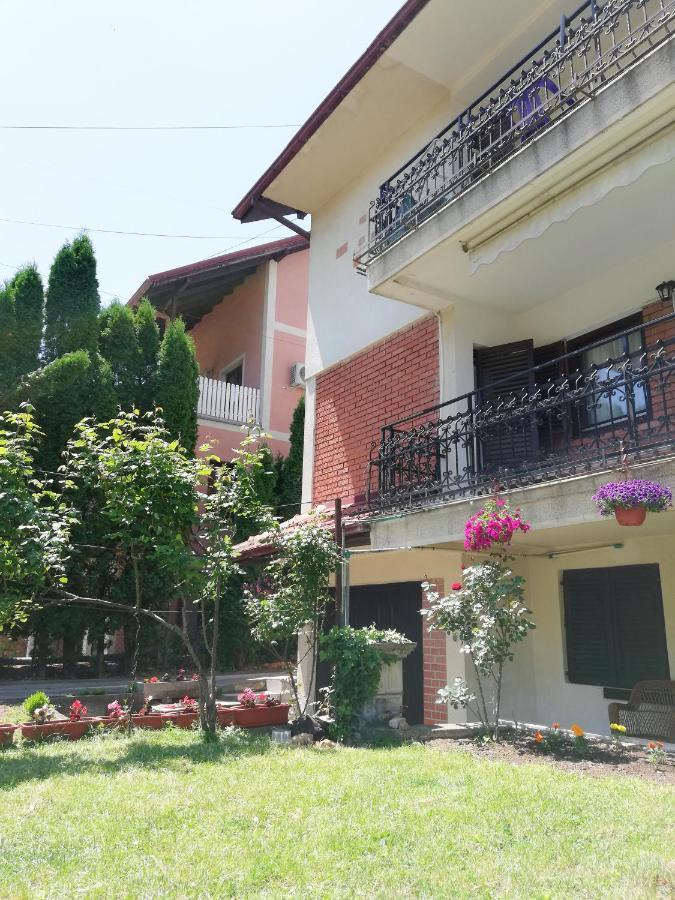 Nikola Apartment Soko Banja