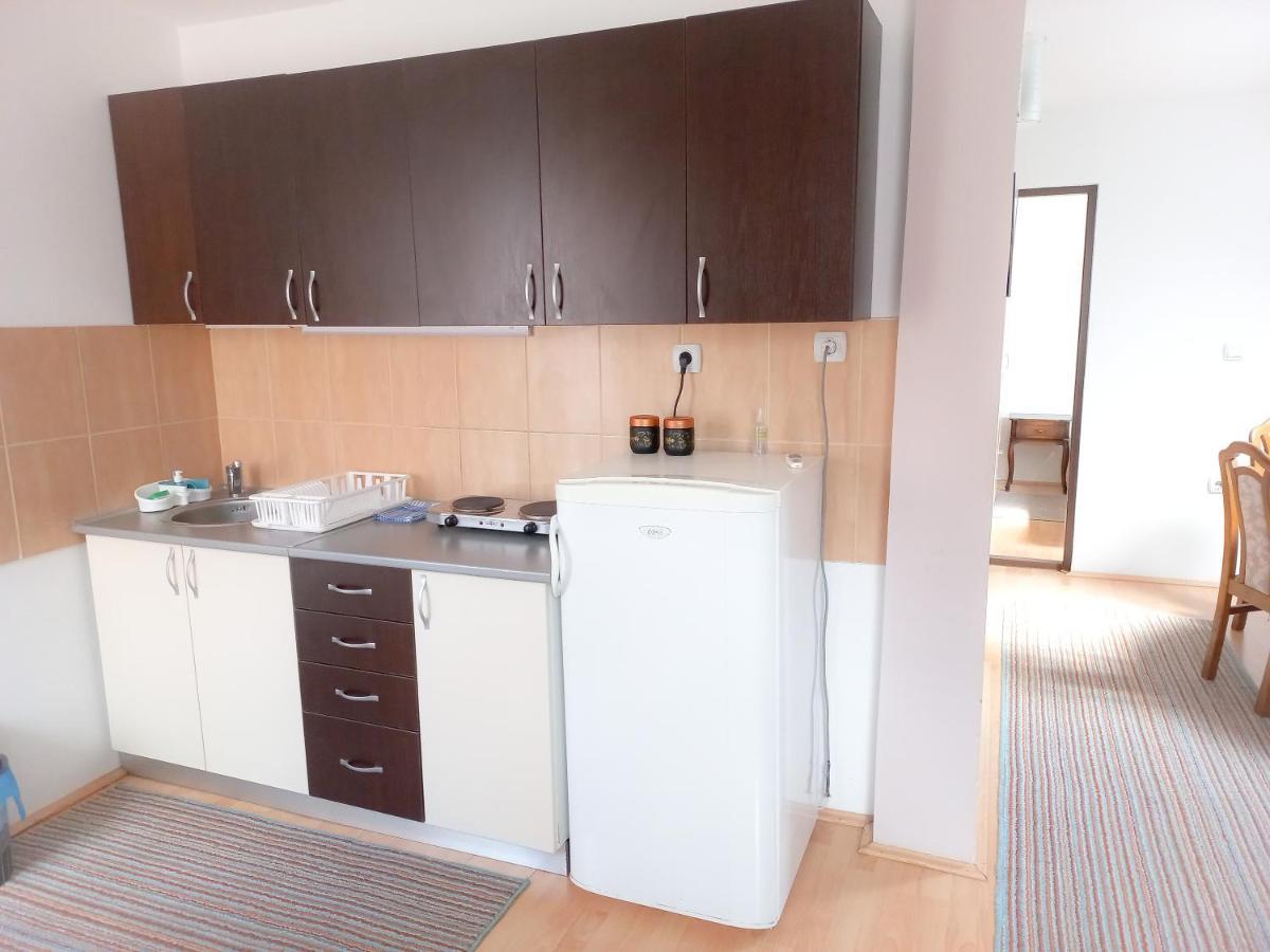 Nikola Apartment Soko Banja
