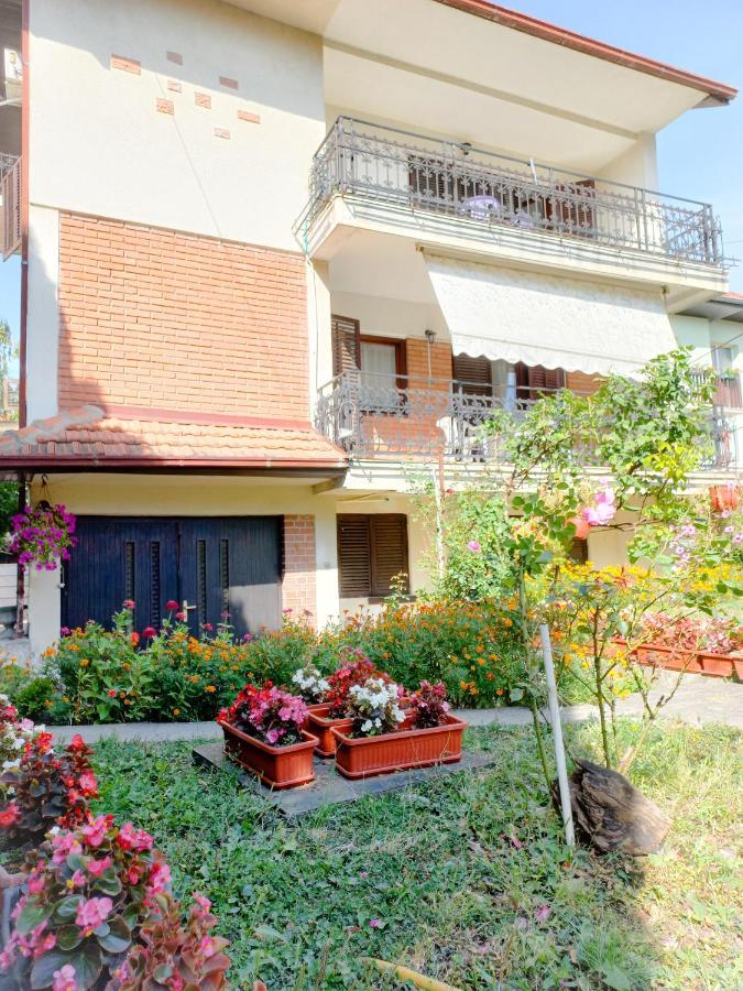 Apartment Nikola