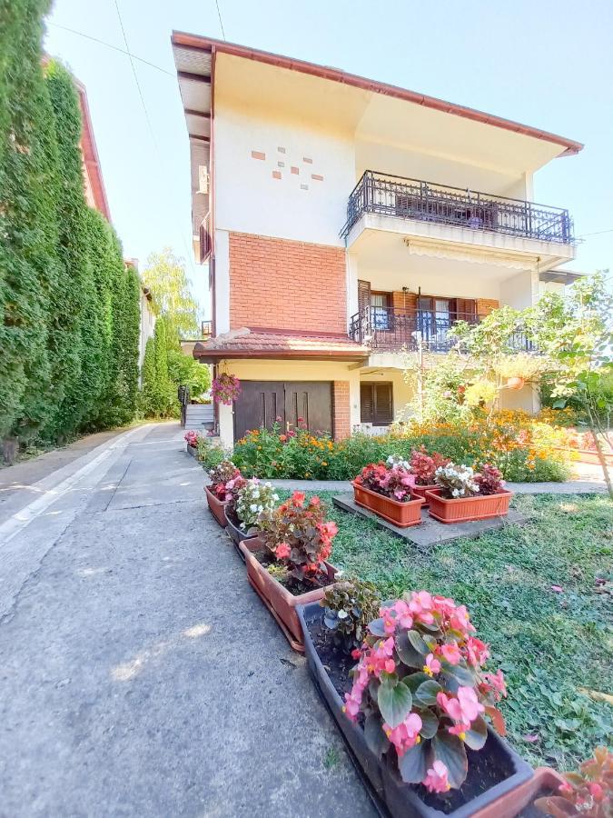 Apartment Nikola *