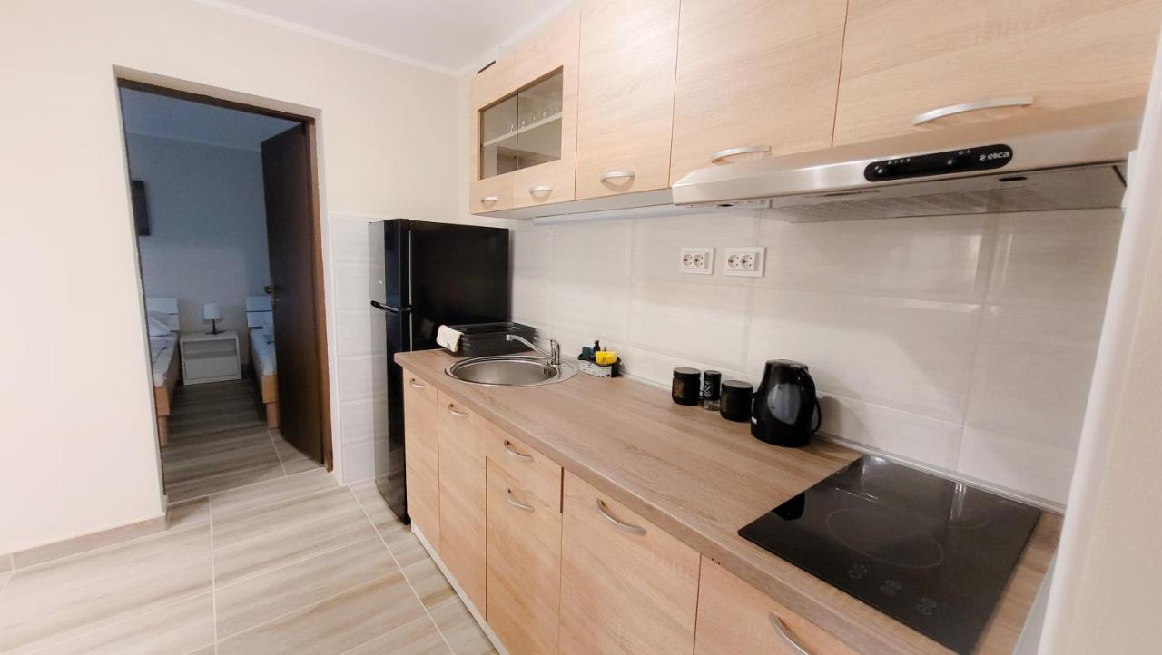 Nikola Apartment Soko Banja