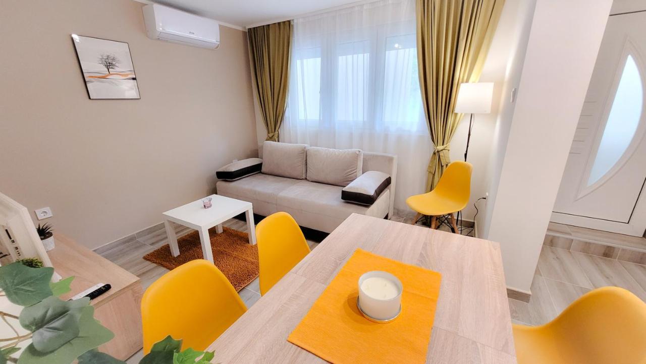 Nikola Apartment Soko Banja