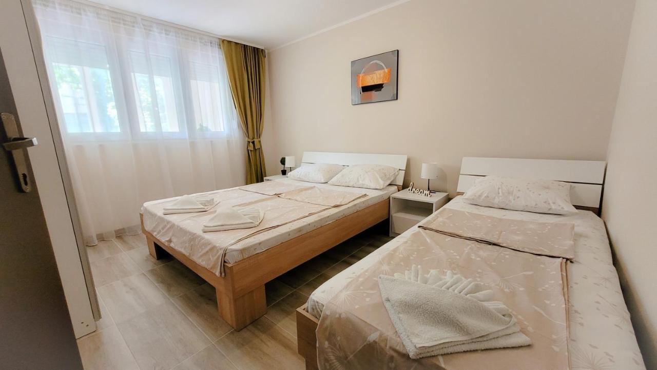Apartment Nikola Soko Banja